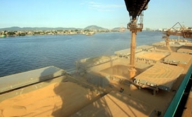 China faz grande compra de soja brasileira em meio a guerra comercial