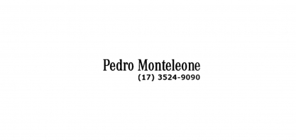 Pedro Monteleone - Concessionário Mercedes-Benz