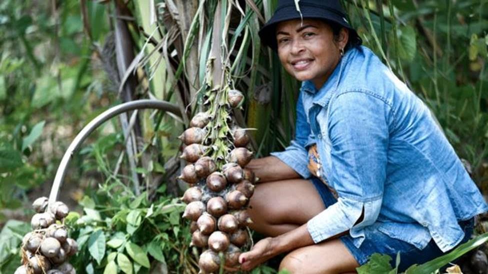 Sorveteria Florestal em COQUINHOS